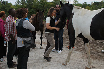 Creating-Pathway-Farms–Equine-Assisted-Learning-page-01